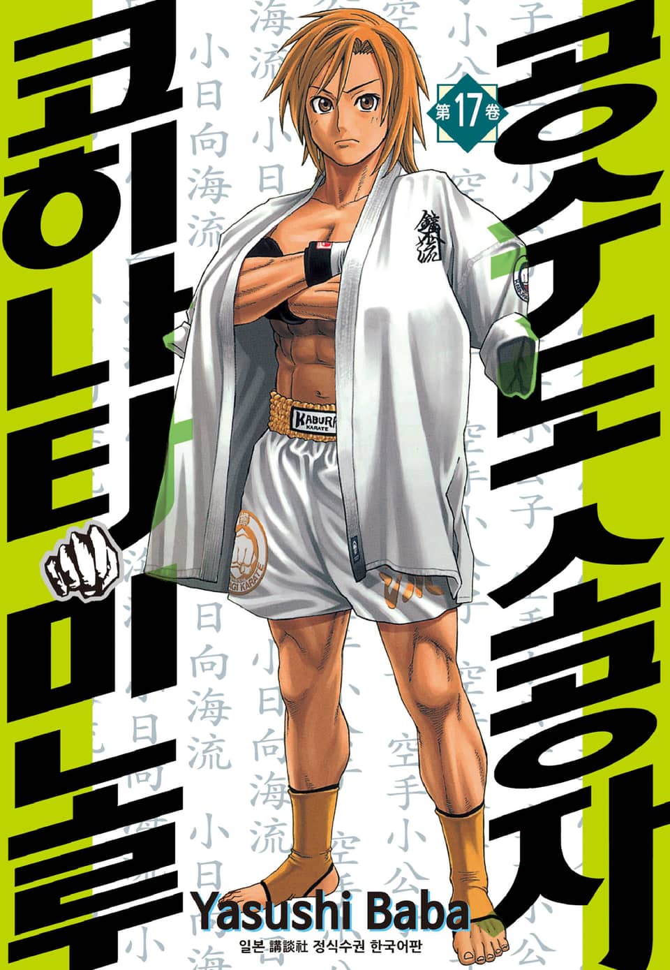 공수도 소공자 코히나타 미노루 17권