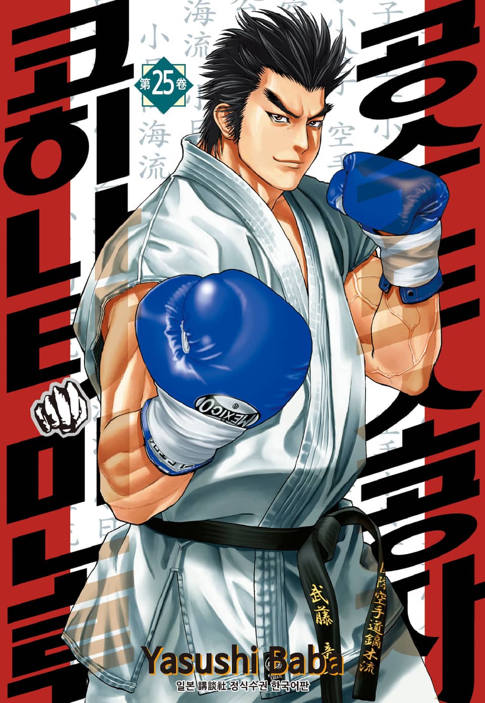 공수도 소공자 코히나타 미노루 25권