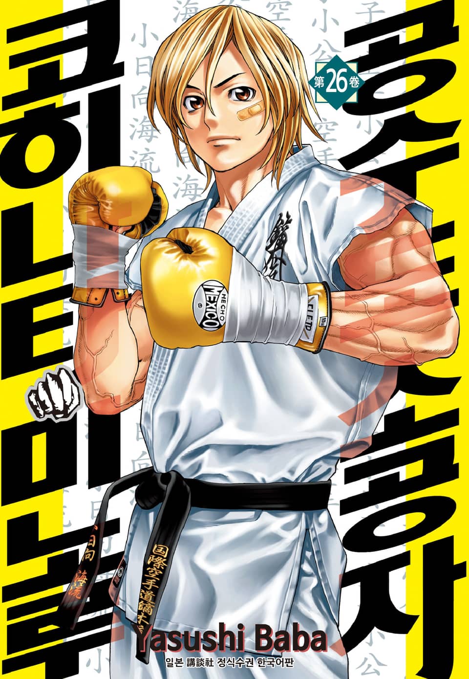 공수도 소공자 코히나타 미노루 26권