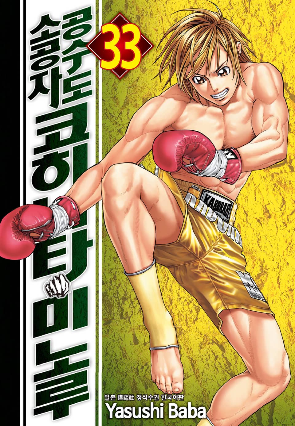 공수도 소공자 코히나타 미노루 33권