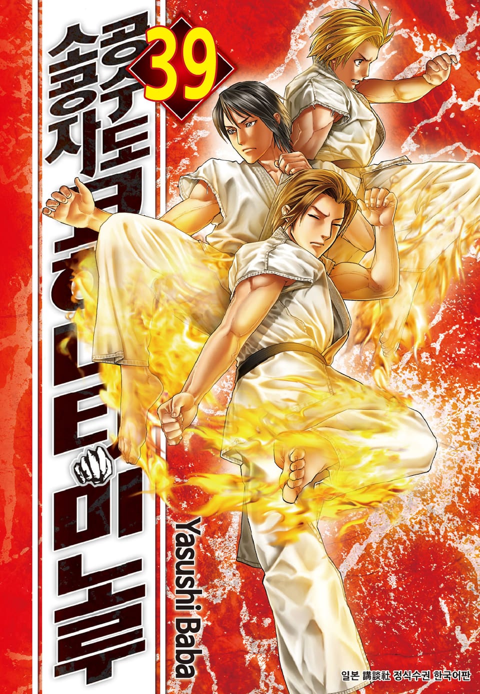 공수도 소공자 코히나타 미노루 39권