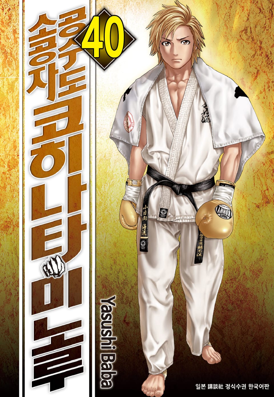 공수도 소공자 코히나타 미노루 40권