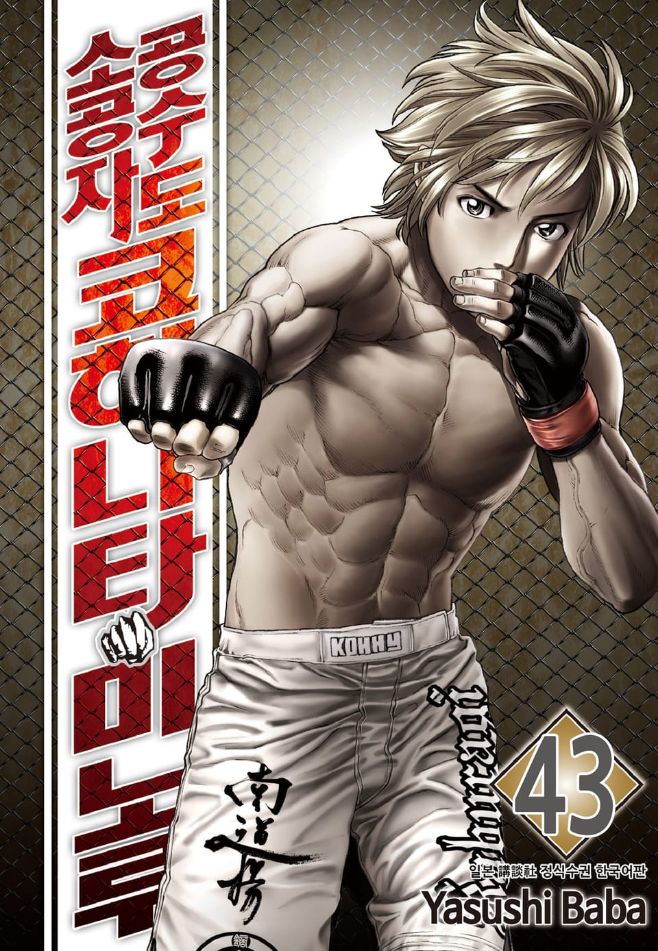 공수도 소공자 코히나타 미노루 43권