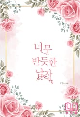 너무 반듯한 남자 표지 이미지