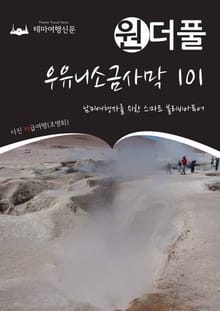 원더풀 우유니소금사막 101 : 남미여행자를 위한 스마트 볼리비아투어