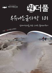 원더풀 우유니소금사막 101 : 남미여행자를 위한 스마트 볼리비아투어