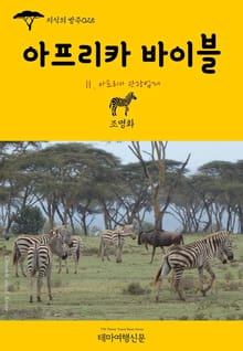 지식의 방주025 아프리카 바이블 Ⅱ. 아프리카 관광업계