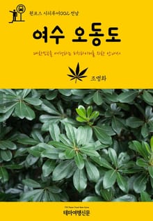 원코스 시티투어002 전남 여수 & 오동도