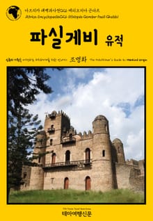 아프리카 대백과사전026 에티오피아 곤다르 파실게비 유적 인류의 기원을 여행하는 히치하이커를 위한 안내서