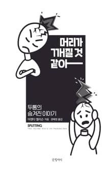 머리가 깨질 것 같아
