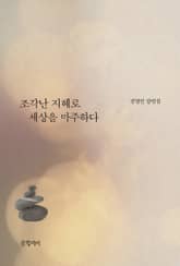 조각난 지혜로 세상을 마주하다 표지 이미지