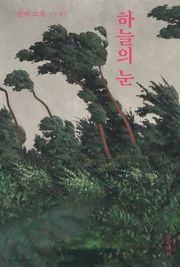하늘의 눈