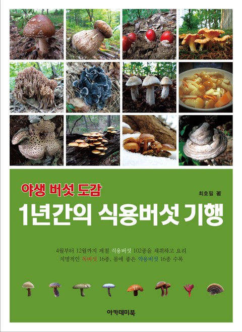 야생 버섯 도감-1년간의 식용버섯 기행 표지 이미지