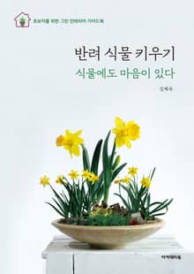 반려 식물 키우기