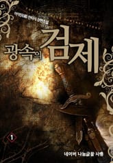 광속의 검제 표지 이미지