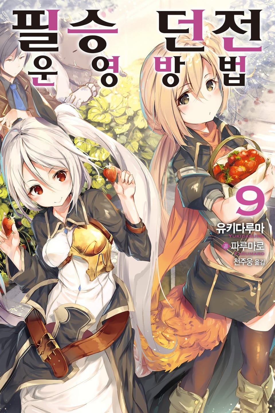 필승 던전 운영방법 9권