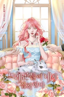 드래곤들이 내게 집착한다