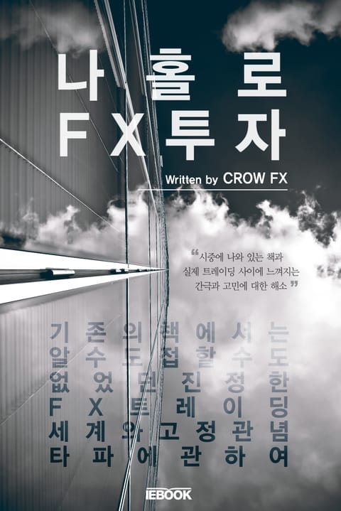 나홀로 FX투자 표지 이미지