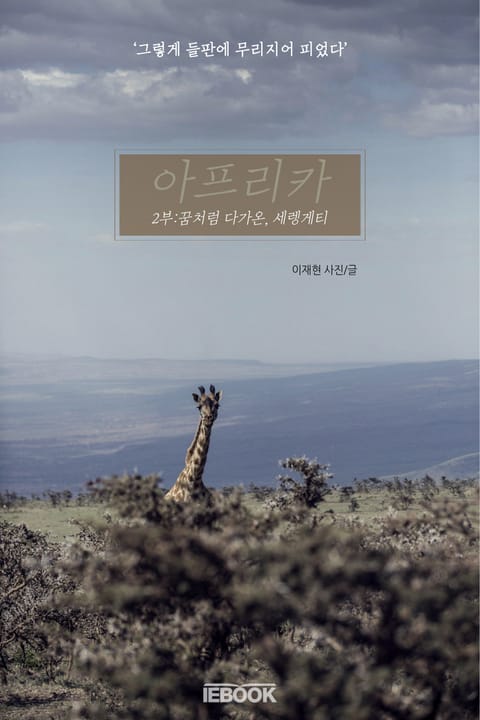 아프리카 - 2부 : 꿈처럼 다가온, 세렝게티 표지 이미지