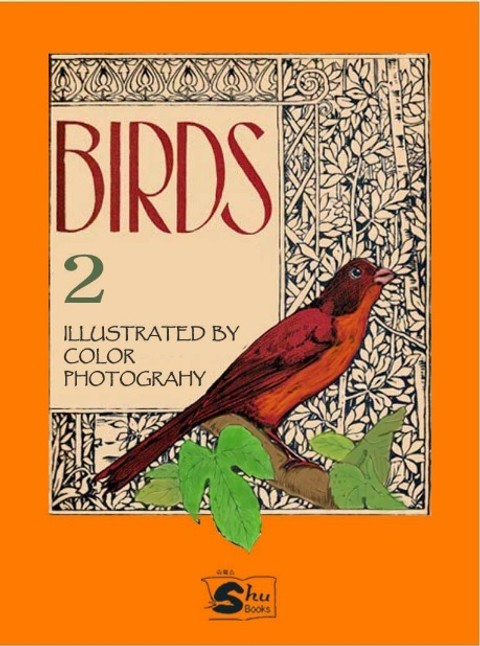 Birds II 표지 이미지