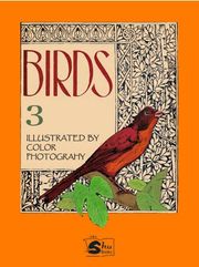 Birds III