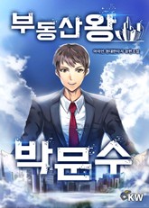 부동산왕 박문수 표지 이미지