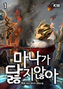 마나가 닳지 않아