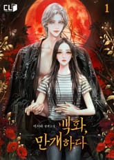 백화, 만개하다 표지 이미지