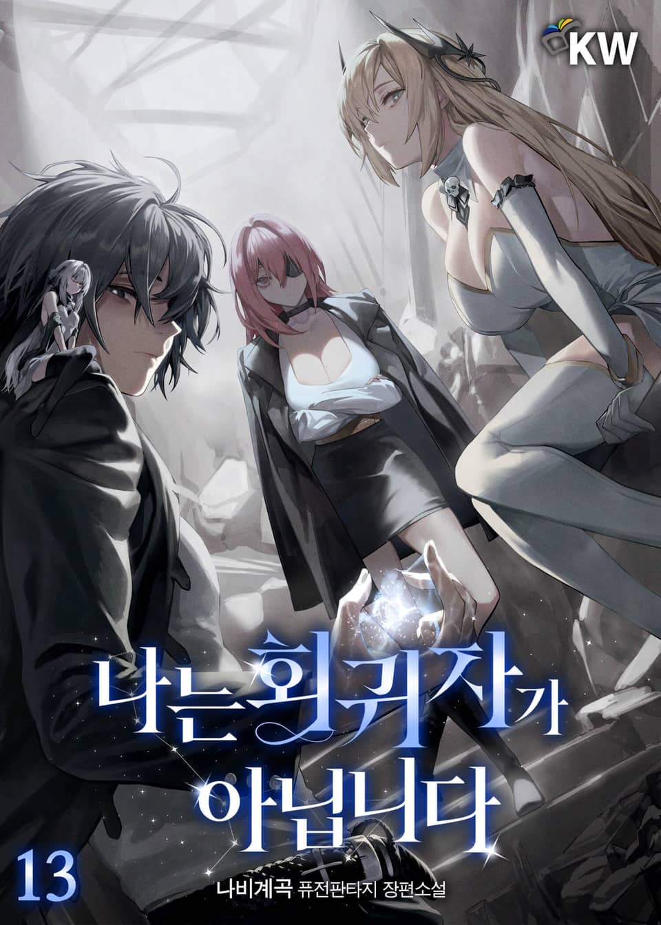 나는 회귀자가 아닙니다 13권