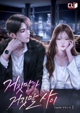 거짓말과 거짓말 사이 표지 이미지