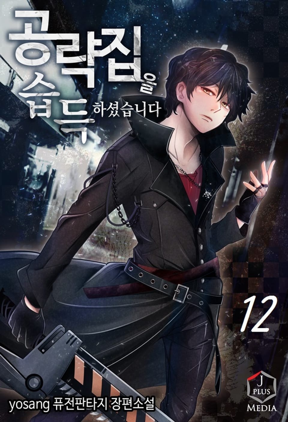 공략집을 습득하셨습니다 12권