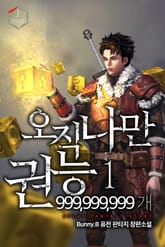 오직 나만 권능 999,999,999개 표지 이미지