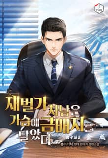 재벌가 차남은 가슴에 금배지를 달았다