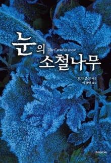 눈의 소철나무
