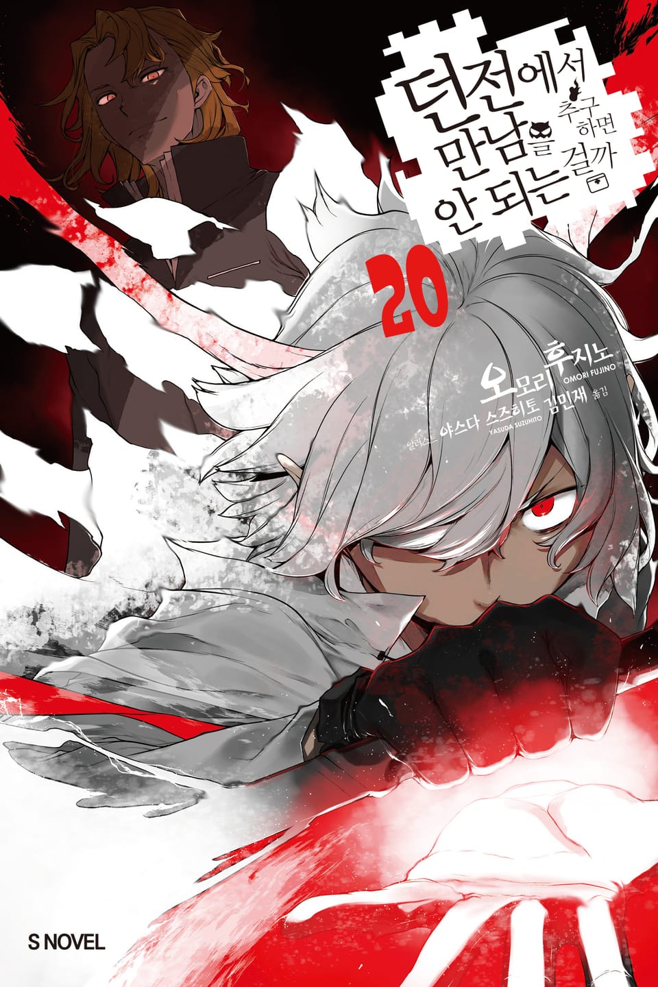 던전에서 만남을 추구하면 안 되는 걸까 20권