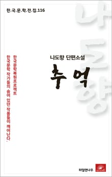 나도향 단편소설 추억