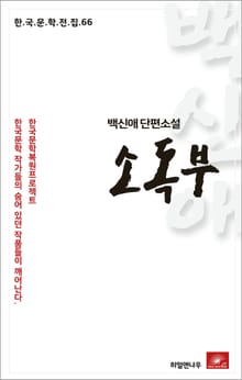 백신애 단편소설 소독부