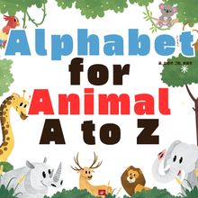 Alphabet for Animal A to Z - 생애 첫 알파벳 시리즈