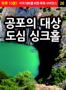 공포의 대상 도심 싱크홀