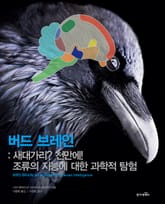 버드브레인 표지 이미지