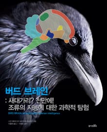 버드브레인