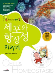 세포와 항상성 지키기