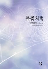 불꽃처럼 표지 이미지