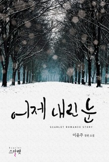 어제 내린 눈