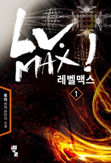 레벨 맥스