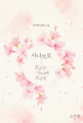 시나브로 - 모르는 사이에 조금씩 표지 이미지