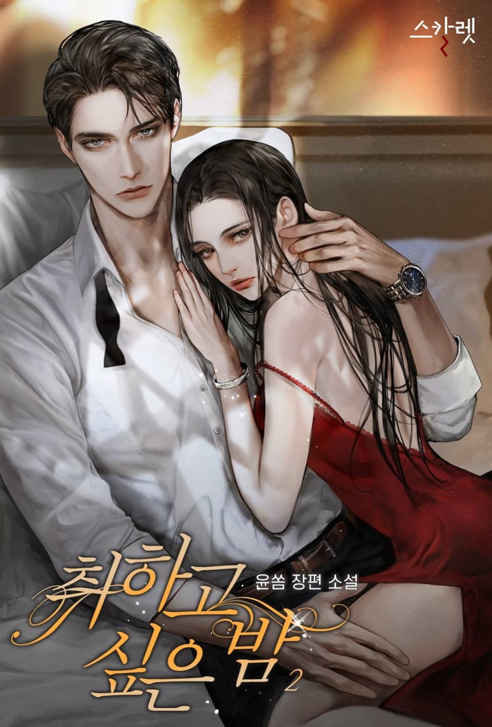 취하고 싶은 밤 2권 (완결)