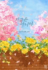 지금은 아니야 표지 이미지