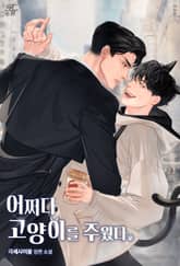 어쩌다 고양이를 주웠다 표지 이미지