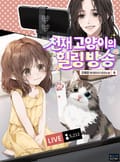천재 고양이의 힐링방송 20화